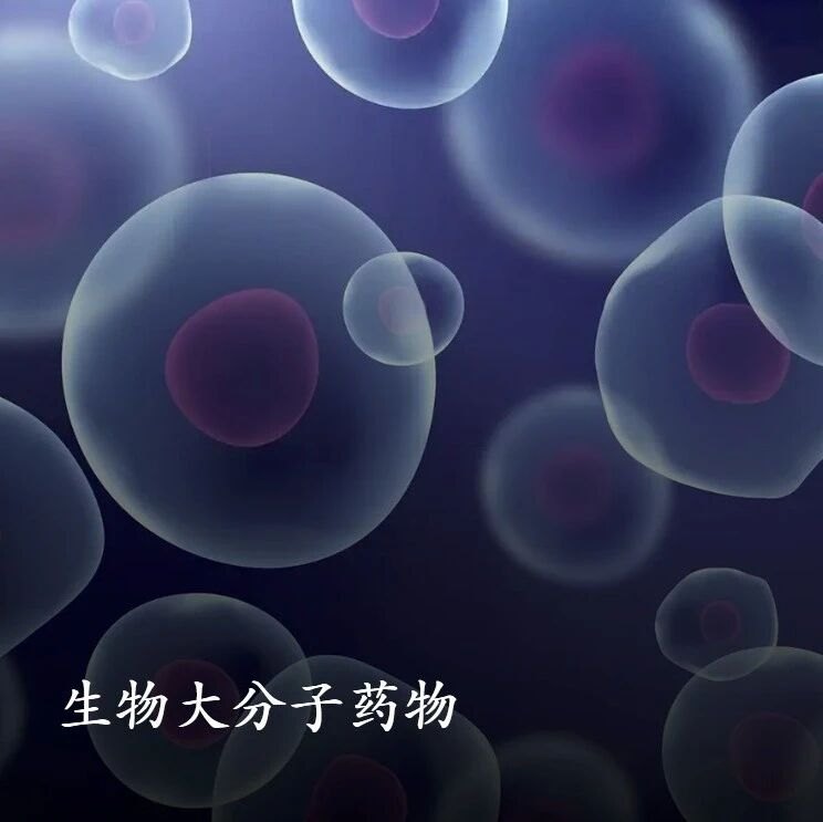 康龙化成Q3:订单高增、CDMO提速，利润质量改善